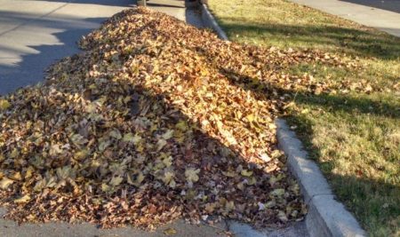 Autumn Brings Hidden Dangers